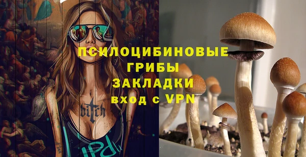 винт Арсеньев
