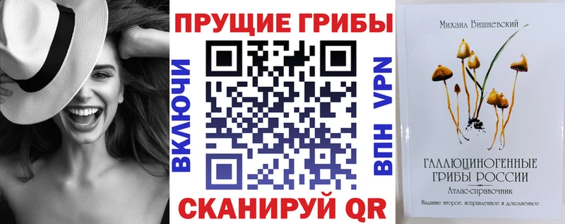 Псилоцибиновые грибы Cubensis  Чернушка 